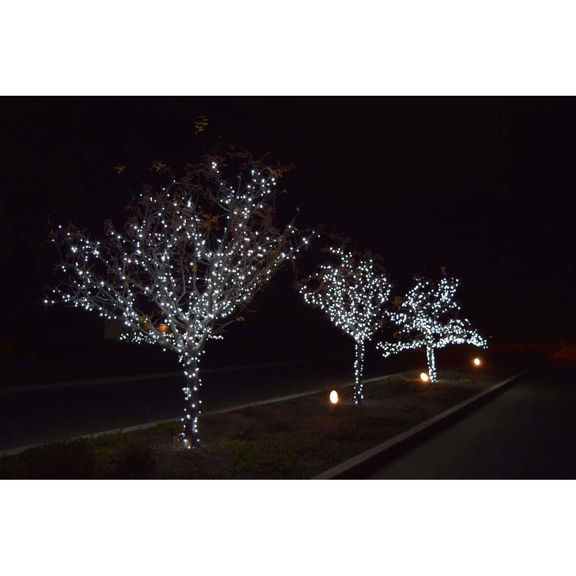 Instalatie Solara Joyful Box, 60 Metri, 600 LED-uri, Alb rece, Panou solar mare, 1200mAh, Telecomanda Wireless