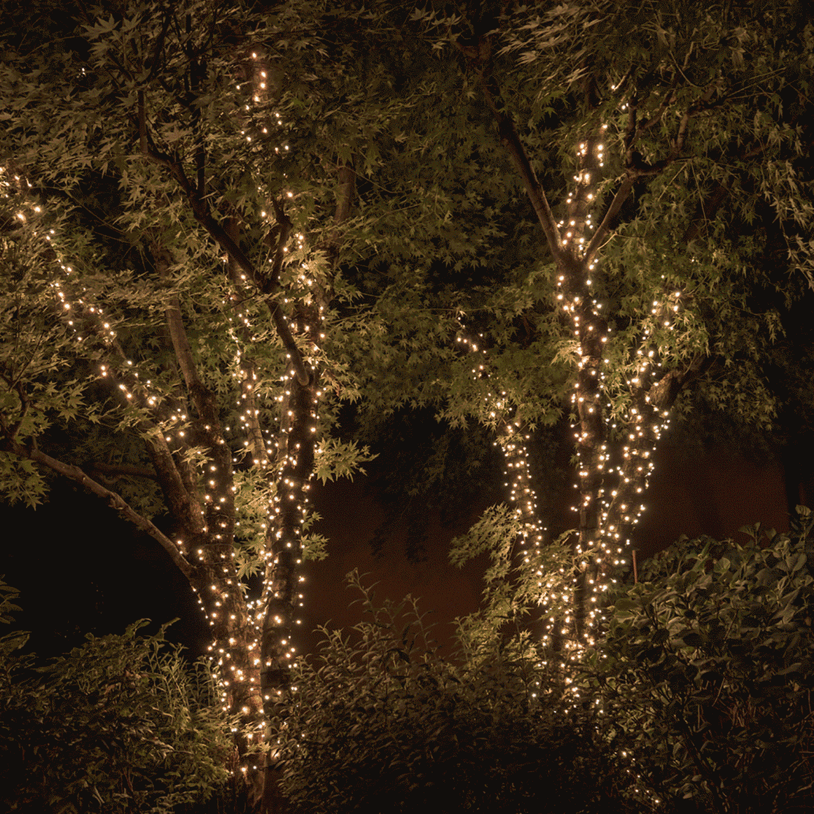 Instalatie Solara Joyful Box, 10 Metri, 100 LED-uri, Galben, Panou solar, 8 jocuri de lumini