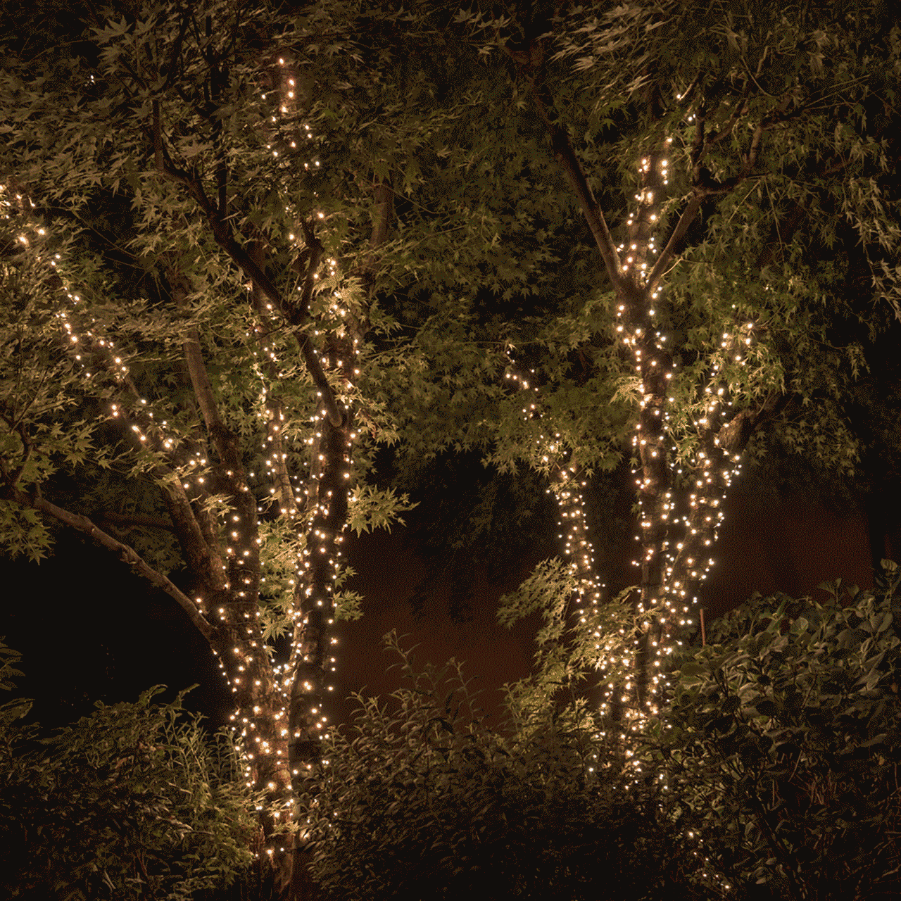 Instalatie LED DIAMANT Joyful Box, 9 Metri, 100 LED-uri, Galben, Interconectabila, 8 jocuri de lumini, Interior-Exterior